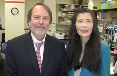 USC Researchers Prepare Human Trials of Potential Breakthrough Treatments for Devastating Genetic Skin Disorder