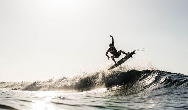 Scientists probe how surfing could help chronic pain
